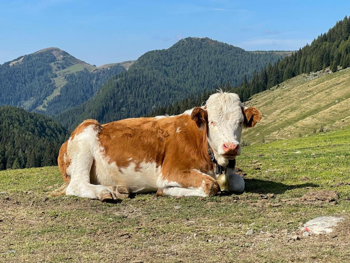 Gailtal Appartements Naehe Skigebiet Wertschach Bagian luar foto